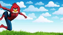 Enojado animación Vengadores aves patrulla pata rojo superhéroes everest skye |