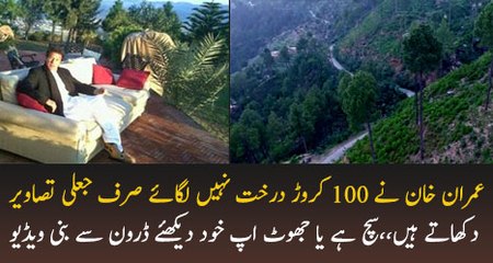 Aerial View Of Billion Tree TSUNAMI