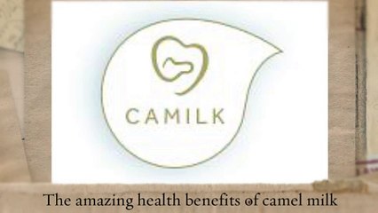 Pasteurized Camel Milk