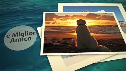 Little Pet friendly resorts Liguria