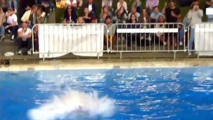 Un grand concours de "plats" en Norvège