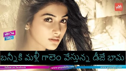 బన్నీకి మళ్లీ గాలెం వేస్తున్న డీజే భామ | Pooja Hegde Next Movie With Bunny | YOYO Cine Talkies