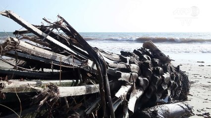 Inondations en Sierra Leone: bains de mer déconseillés