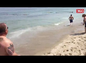 Deti pushtohet nga gjaku, pushuesit në panik (360video)