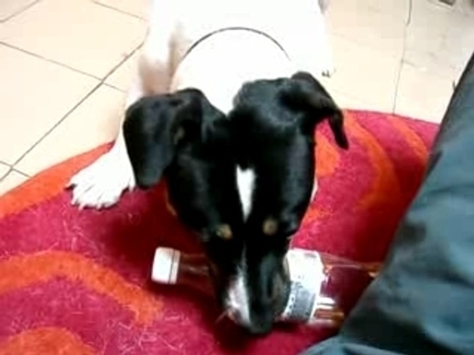 Bounty coca