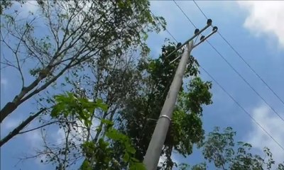 72 Tahun Merdeka, Sebuah Desa Baru Dialiri Listrik dari PLN