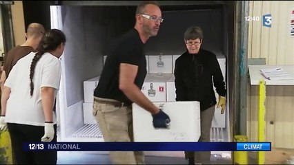 Environnement : la glace, la mémoire du climat