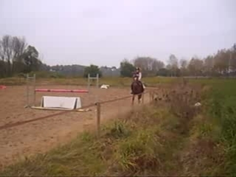 Miracle et Moi