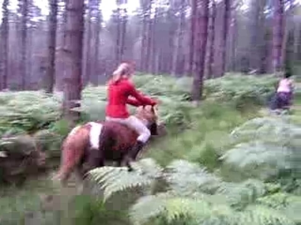 galop