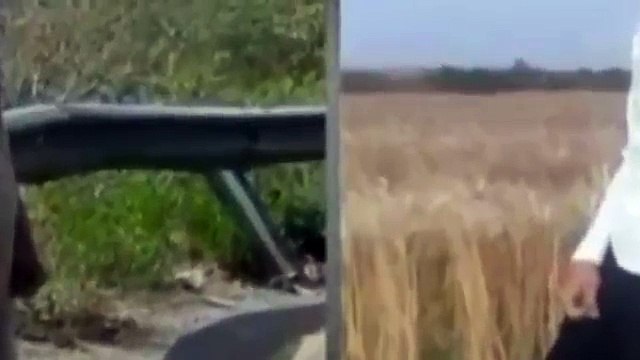 گزشتہ روز کوہالہ نیلم پوائنٹ سے گجرات کا رہنے والا