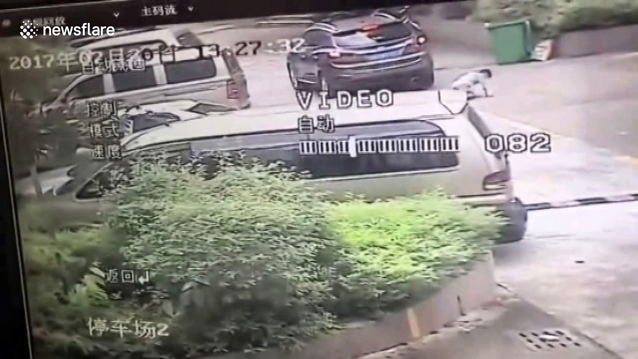 Eight-year-old boy survives being run over by car