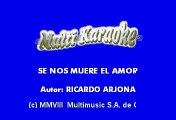 Ricardo Arjona - Se Nos Muere El Amor (Karaoke)