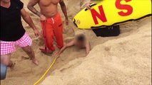 Brincadeira com buraco na praia da Nazaré quase acaba mal para jovem