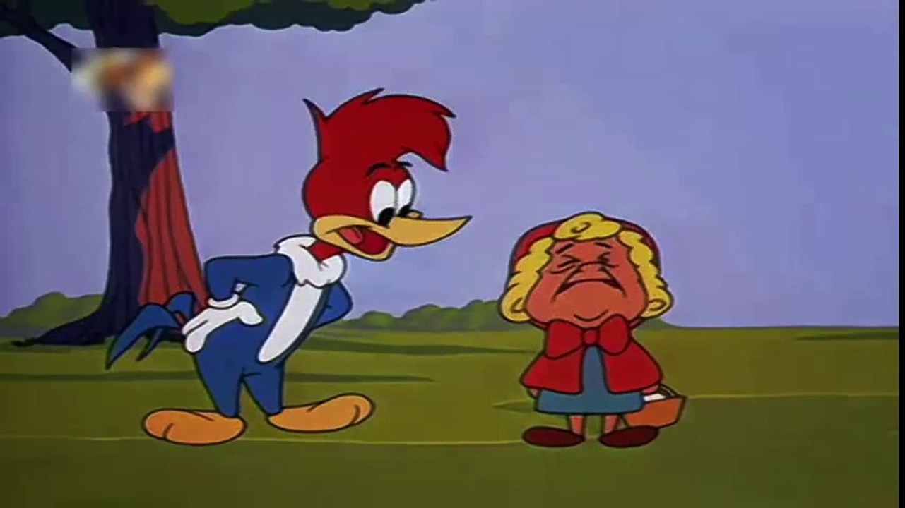 PICA PAU -  QUAL É A SUA CHAPÉU?  roough ridind hood
