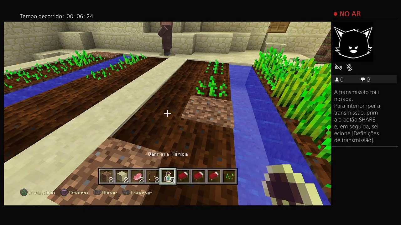 Live de minecraft (15)