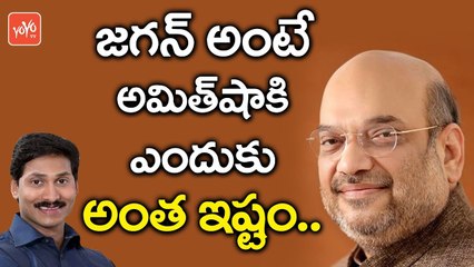 జగన్ అంటే అమిత్ షా కి ఎందుకు అంత ఇష్టం.. | Merger Discussions of YCP and BJP | YOYO TV Channel
