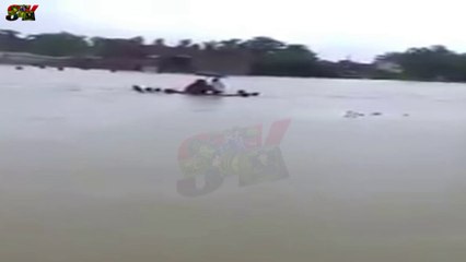BIHAR'S MOST  PAINFUL FLOOD IN KISHAN GANJ,BIHAR ,INDIA
