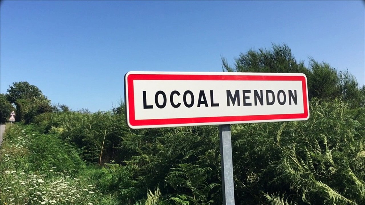 Mobilisons-nous pour la Ria ! Chantiers participatifs pour limiter la progression du Baccharis à Locoal-Mendon.