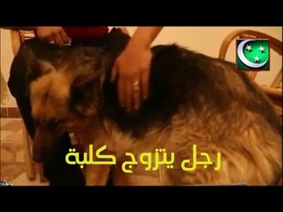 رجل يتزوج كلبة ويصرح على المباشر (انا احبها)