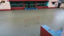 MOST FLOOD IN VILLAGE KISHAN GANJ,BIHAR ,INDIA