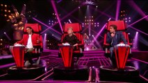 Amélie 14jr – Writings On The Wall (The Blind Auditions   The Voice Kids 2017)