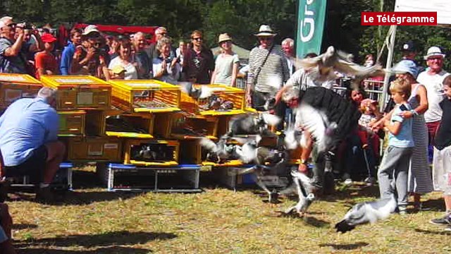 Crac'h (56). Comice. Un public nombreux sous le soleil