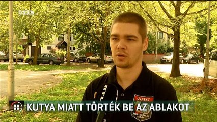 Egy járókelőnek köszönheti az életét az a kutya