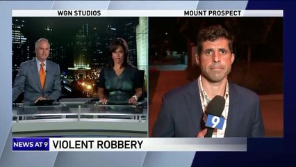 Woman Dragged by Car After Chasing Down Purse Thieves