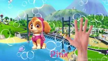 Learn Colors for Kids Body Paint Paw Patrol Finger Family Song Nursery Rhymes Learning Vid