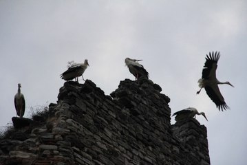 Topkapı Surlarında Göç Molası
