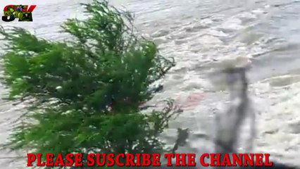 MOST PAINFUL FLOOD IN KISHAN GANJ ARARIA,BIHAR,INDIA