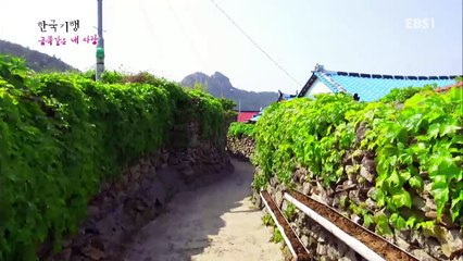 한국기행 - Korea travel_금쪽같은 내 사랑 5부 손죽도, 내 사랑_#001