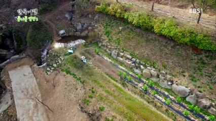 한국기행 - Korea travel_봄나물열전2, 2부 바람이 거들고 자연이 키우고_#001