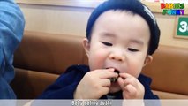 Funny Babies Eating Sushi & Wasabi For The First Time!