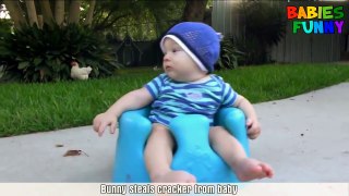 Adorable Babies Videos 2017