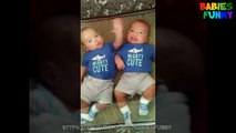 Best of Twin Babies Part 2 - Twins Happiness Baby - Funny Twins Baby Compilation 2016