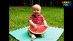 Cute babies eating Watermelon!