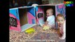 Cute Babies Playing In Boxes - Cutest Babies Videos 2017