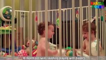 Cute Babies playing with the Diapers - Funny Babies Videos 2017