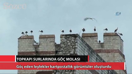 Topkapı surlarında göç molası