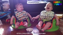 Cute Twin Baby Laughing at Each Other - Funny Babies Laughing Videos
