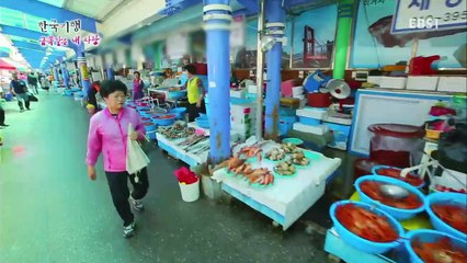한국기행 - Korea travel_금쪽같은 내 사랑 1부 잡아야 산다_#001