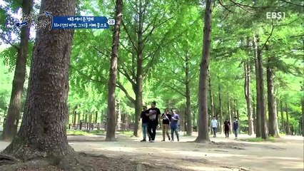 글로벌 아빠 찾아 삼만리 - 페루에서 온 형제 2부- 33시간의 비행, 그리운 아빠 품으로_#003
