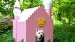 15 Most Luxurious Dog Houses