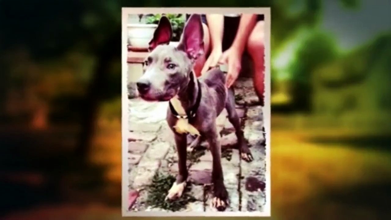 Cesar 911 S01E05
