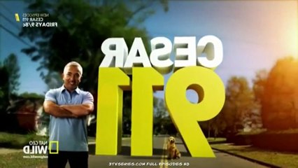 Cesar 911 S02E03
