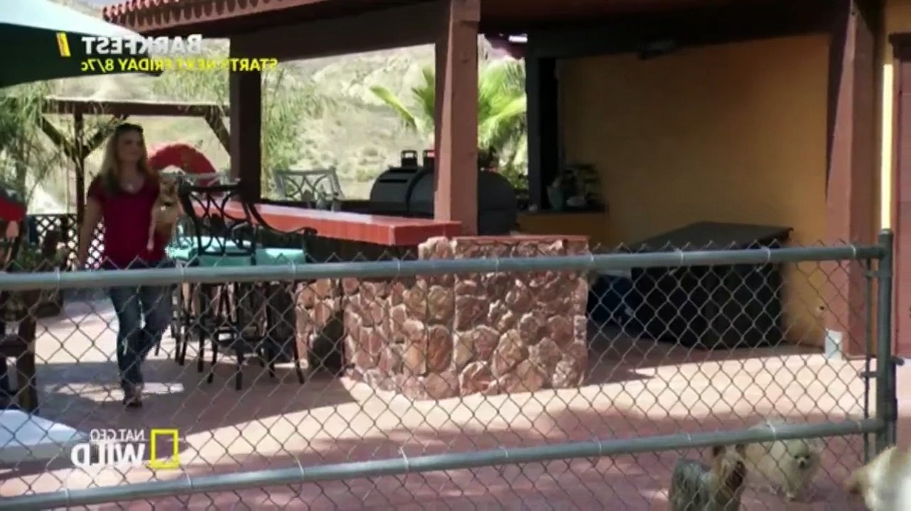 Cesar 911 S02E11