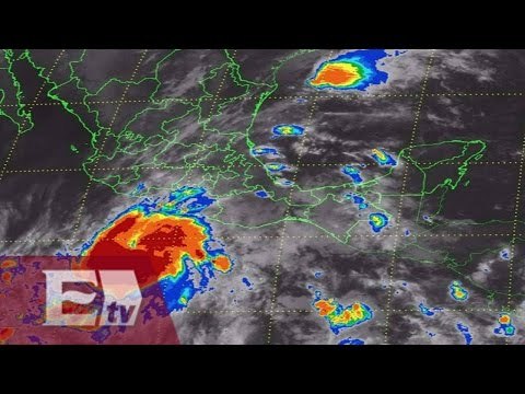 Alerta “Patricia”: Conoce lo que debes hacer en caso de huracanes/ Vianey Esquinca