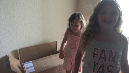 Chegaram  a caixa com a Boneca American Girl e Acessórios