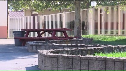 Five Teens Arrested in Connection With White Supremacist, Gang-Related Graffiti at Two California Schools